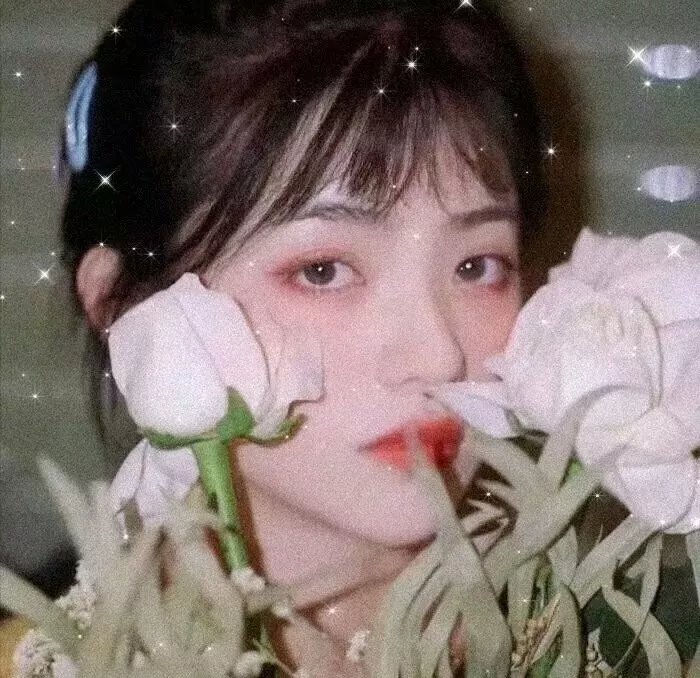 毛”法不爱你